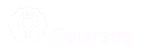 Wordpress Courses